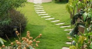 garden ideas long narrow