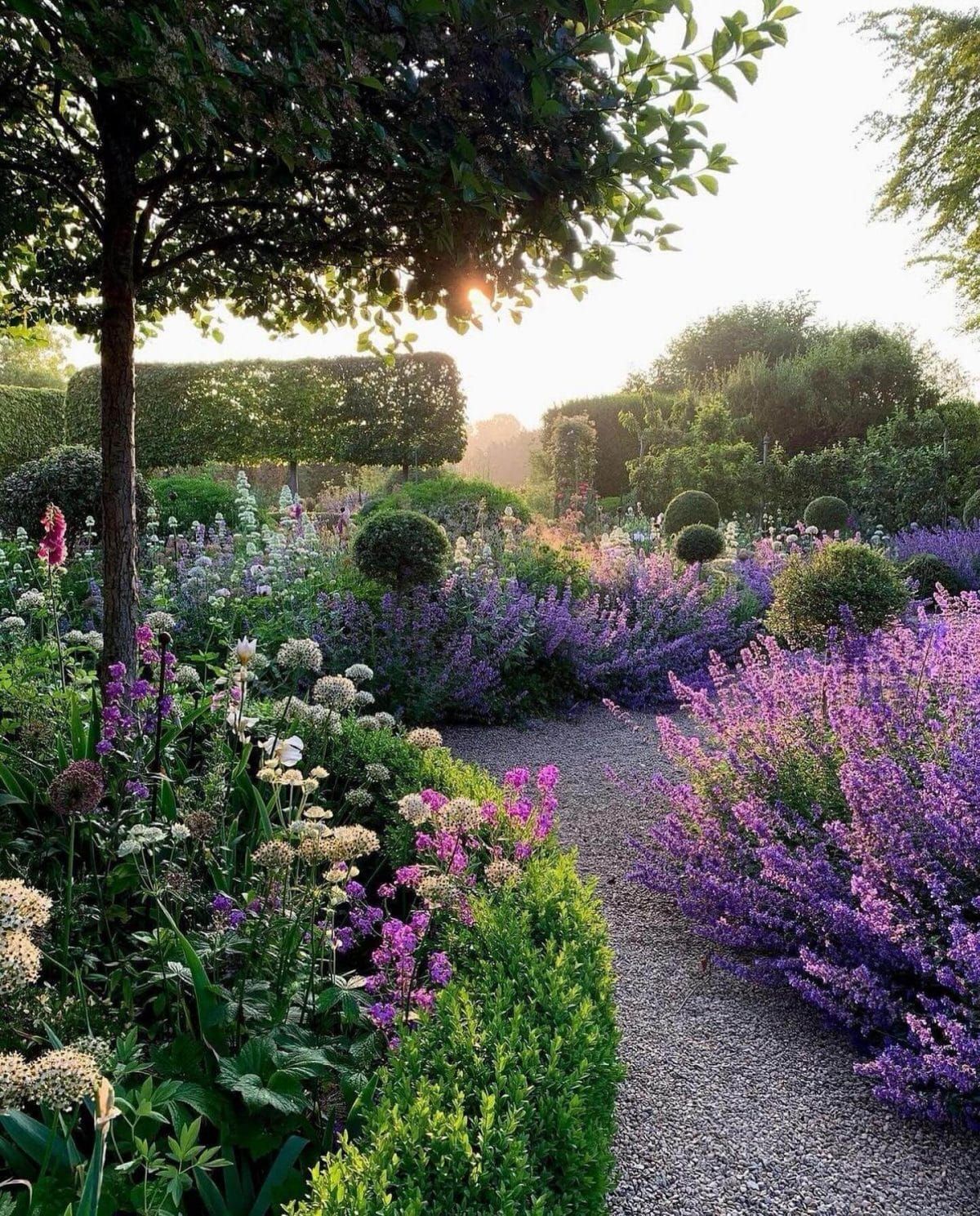 Creating Beautiful Garden Borders with Thoughtful Design