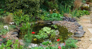 small garden ponds ideas