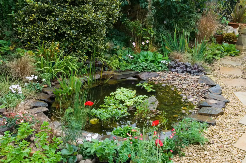 Creative Ideas for Small Garden Ponds