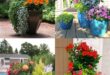 garden planter ideas