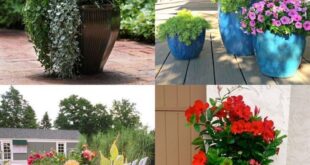 garden planter ideas