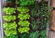 vertical gardening