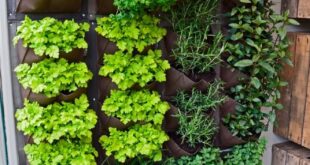 vertical gardening