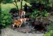 dog friendly backyard landscaping