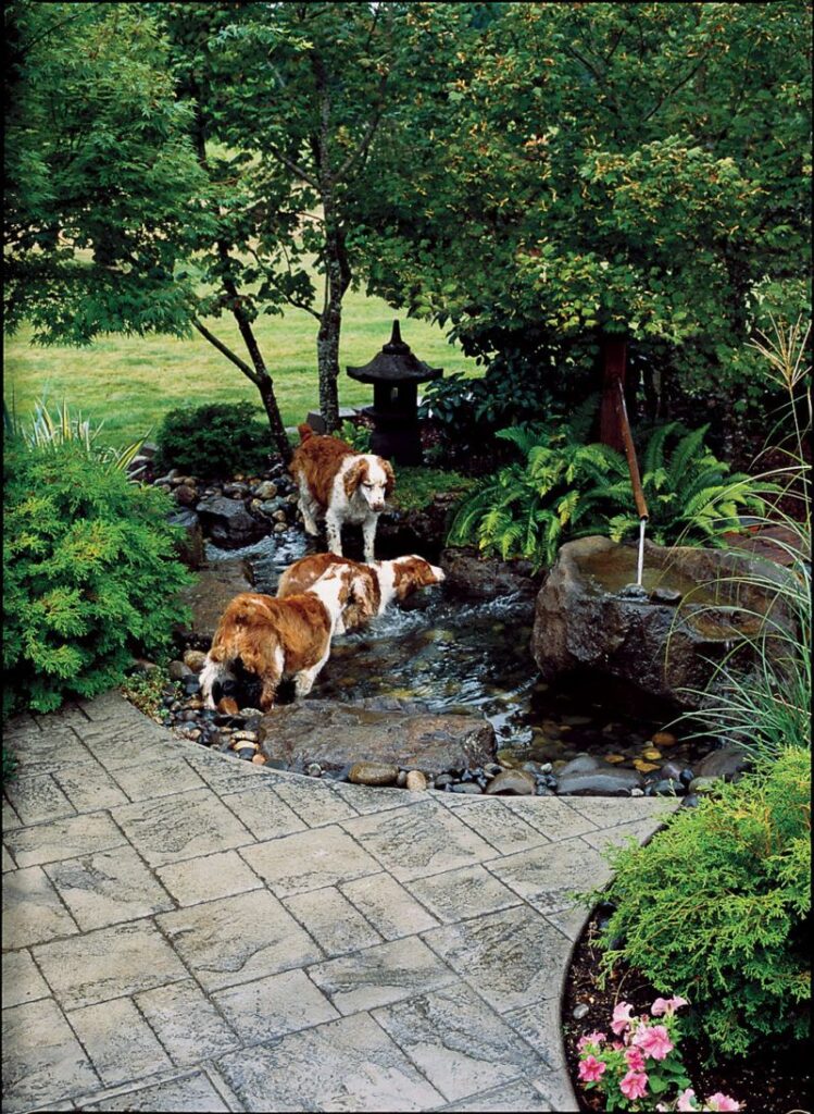 dog friendly backyard landscaping