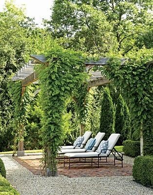 Enhance Your Outdoor Space with a Beautiful Garden Pergola