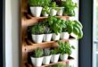 indoor herb garden