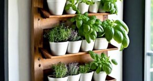 indoor herb garden