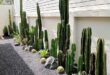 landscaping xeriscape