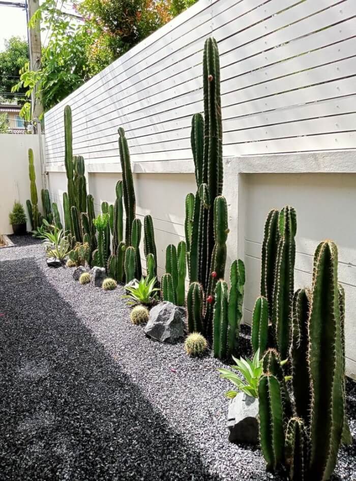 Creating a Sustainable Garden with Xeriscape Landscaping