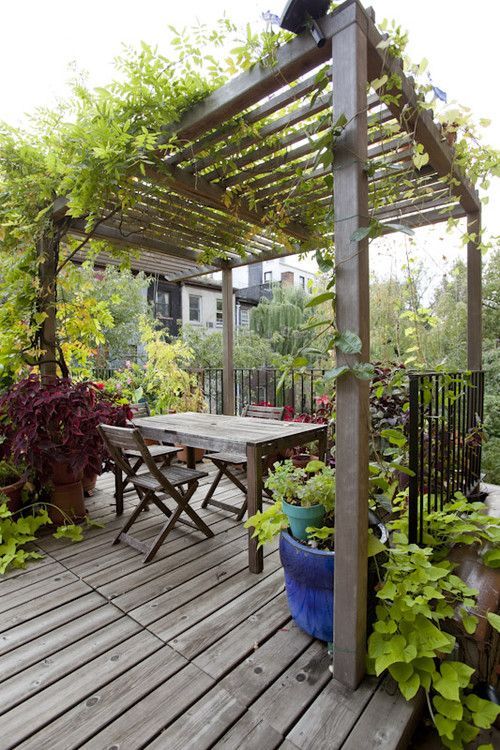 garden pergola