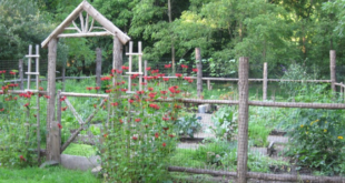 garden fence