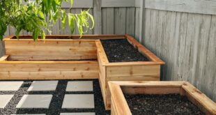 garden planter boxes