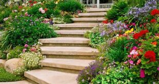 landscaping steps on a slope