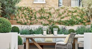 patio garden ideas