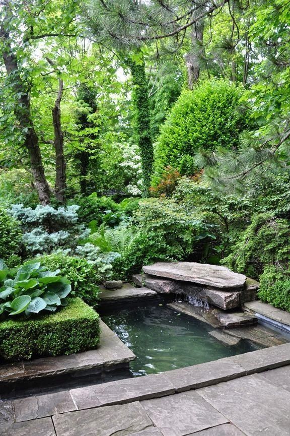 Creative Ideas for Small Garden Ponds