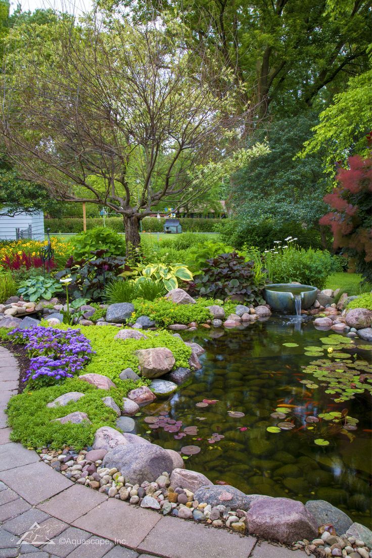 Creating a Tranquil Oasis: The Beauty of a Garden Pond