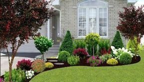 landscape ideas front yard