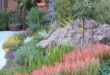 xeriscape front yard