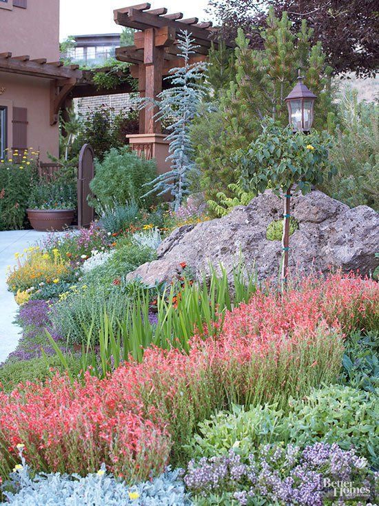 Creating a Beautiful and Sustainable Front Yard with Xeriscaping