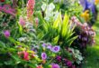 flower garden ideas in front of house