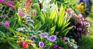 flower garden ideas in front of house