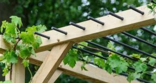 garden pergola