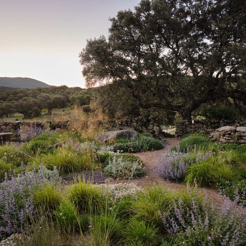 landscaping hillside