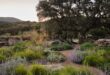 landscaping hillside