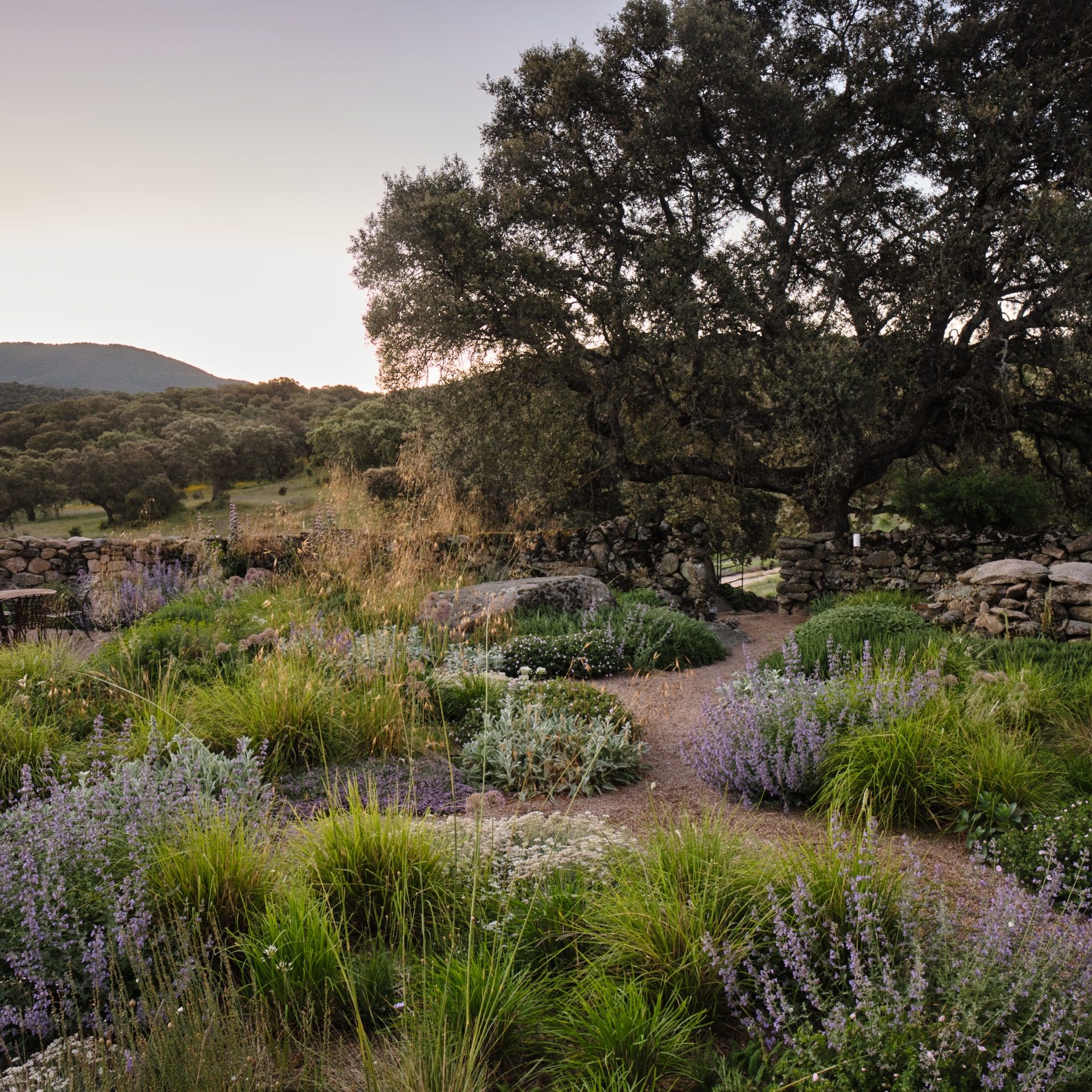 How to Successfully Landscape a Sloped Yard