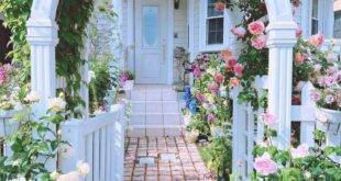 metal garden arches