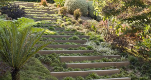 garden design on a slope