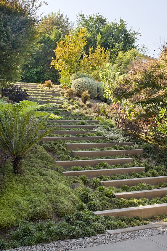 Creating a Beautiful Garden on a Sloping Terrain