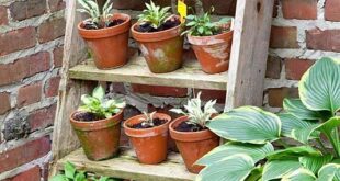 garden planter stand