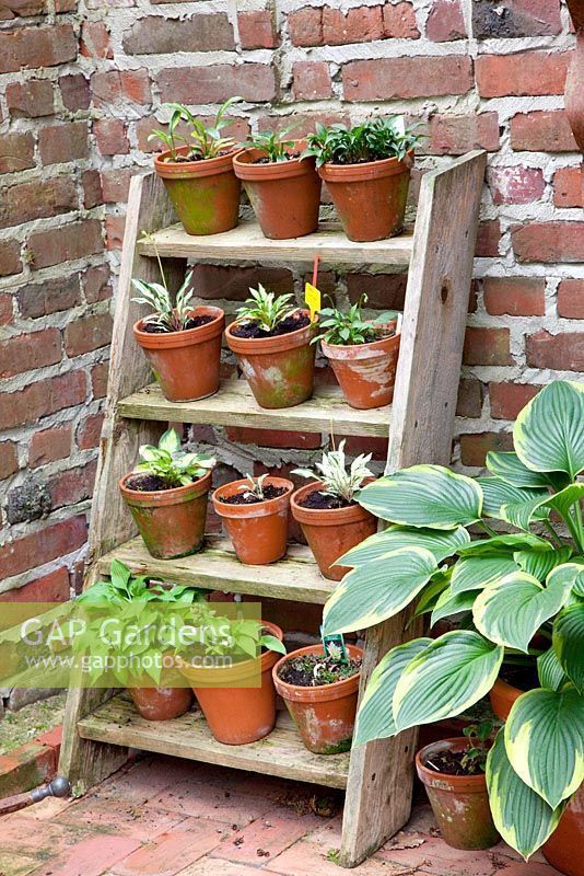 Elevate Your Garden with a Stylish Planter Stand