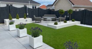 modern garden ideas