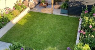 small back garden ideas