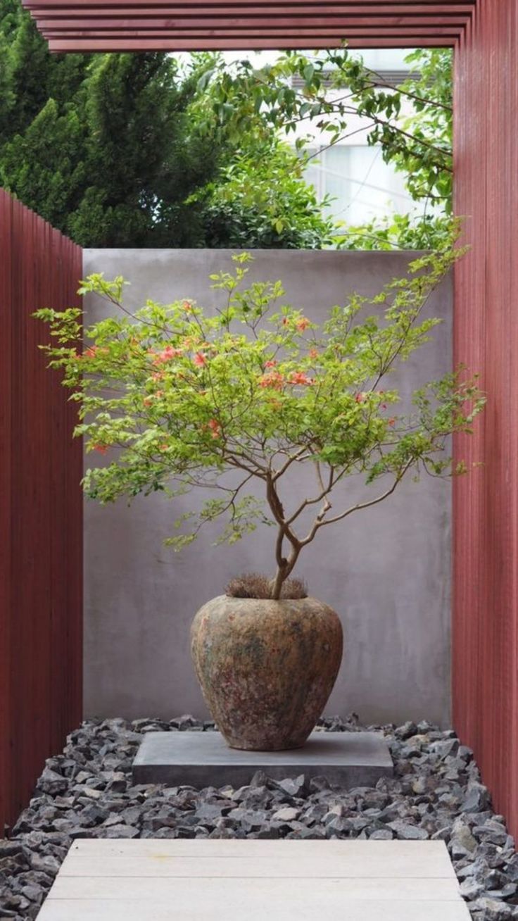 The Tranquil Beauty of a Japanese Zen Garden