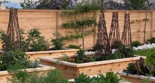 garden box ideas