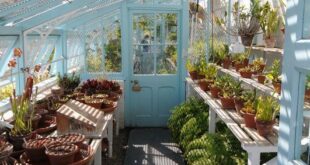 garden greenhouse