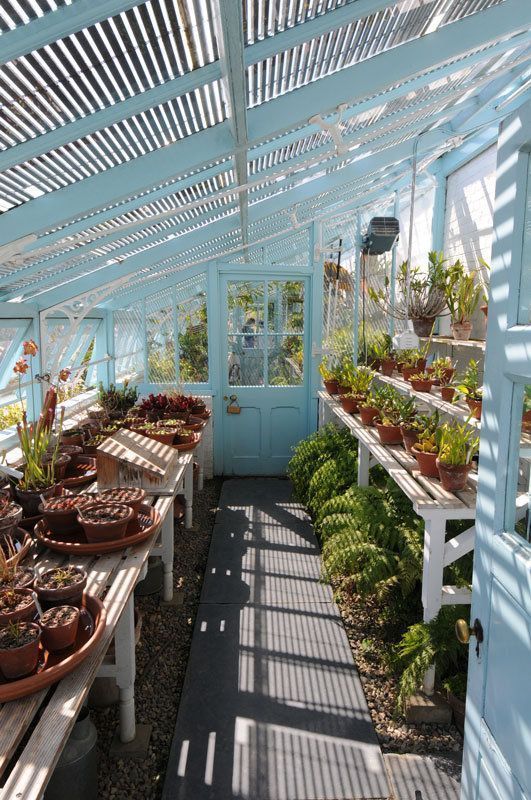 The Ultimate Guide to Setting Up Your Own Garden Greenhouse