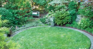 small yard ideas