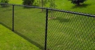 chain link fence ideas