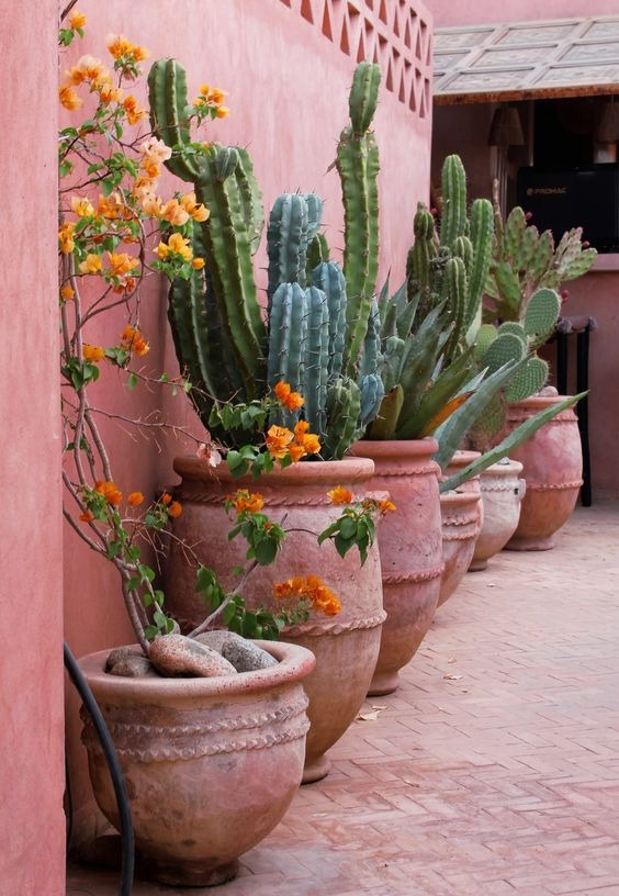 Transforming Your Front Yard with Stunning Desert Landscaping