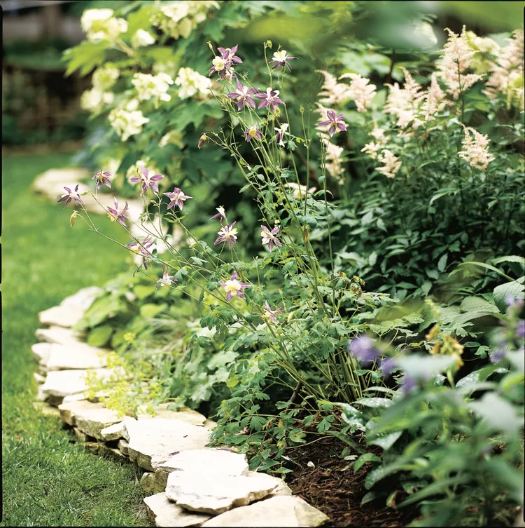 Enhance Your Garden with Beautiful Border Edging