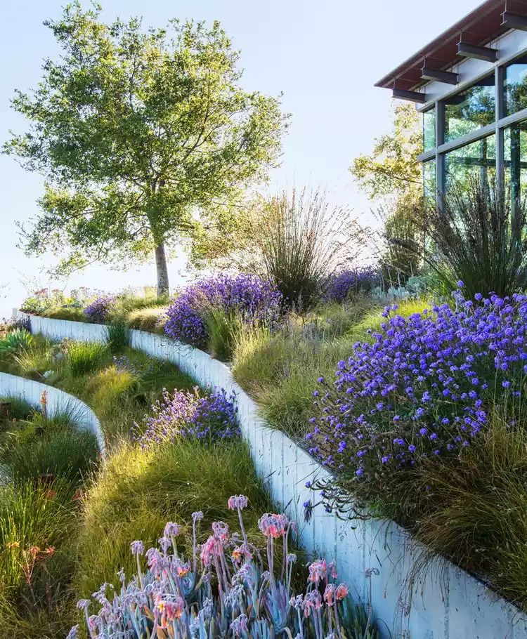 Creating a Stunning Garden Design on a Sloped Terrain