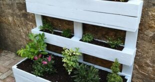 garden ideas with pallets