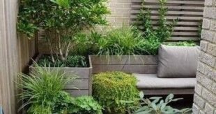 courtyard garden ideas