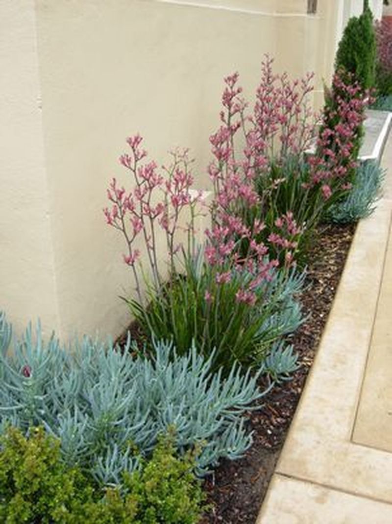 Enhancing Your Front Yard with Beautiful Flower Beds